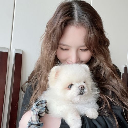 위클리 이재희가 MK스포츠와 펫터뷰를 진행했다. 사진=이재희