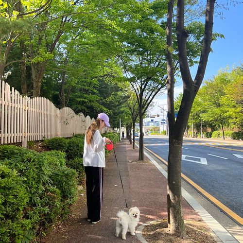 위클리 이재희가 MK스포츠와 펫터뷰를 진행했다. 사진=이재희