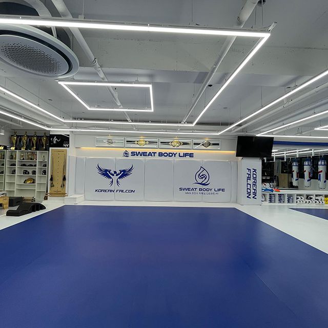 조성빈이 종합격투기선수로 획득한 정규 챔피언 3개 및 잠정 챔피언 1개 벨트가 전시된 ‘스웻바디라이프 코리안팔콘GYM’ 체육관