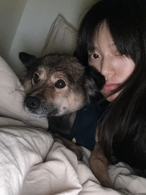 가수 민서가 MK스포츠와 펫터뷰를 진행했다. 사진=민서