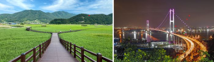 순천만습지, 울산대교 전망대 / 사진=각 관광재단 홈페이지