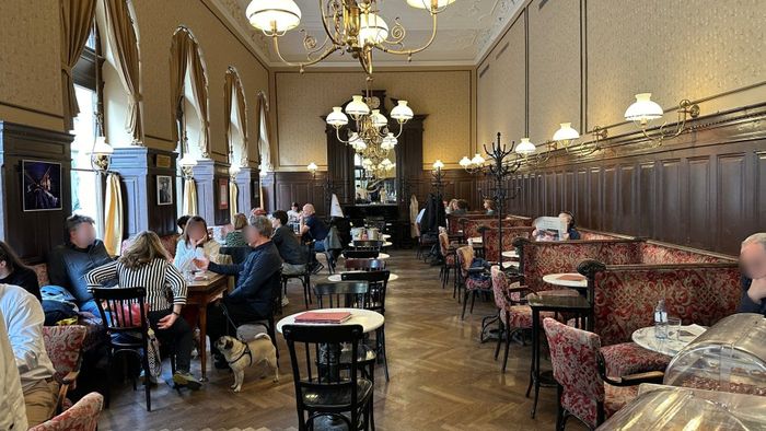 카페 스펠 내부 모습 및 아이스크림, 비엔나 커피.  /사진= 강예신 여행+ 기자