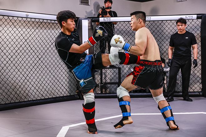 뽀빠이연합의원KMMA20 국제전 모습. 사진=스탠다드앤드프로그레스 스포츠에이전시 제공