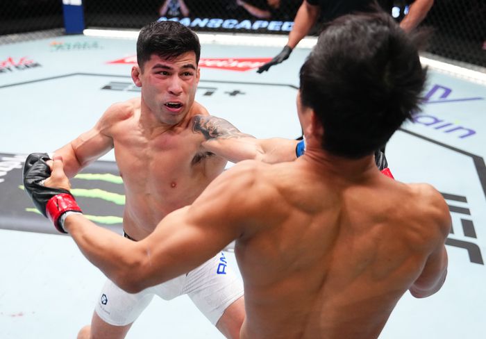 이정영은 아밀의 화력을 견뎌내지 못했다. 사진= UFC 제공