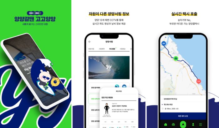 고고양양 / 사진=고고양양 앱