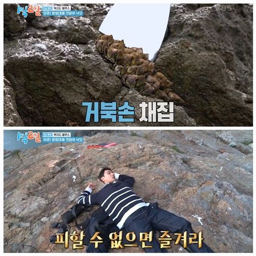 갯바위에 홀로 남겨진 이준의 절규가 안방극장을 웃음으로 초토화시켰다. 사진=1박2일