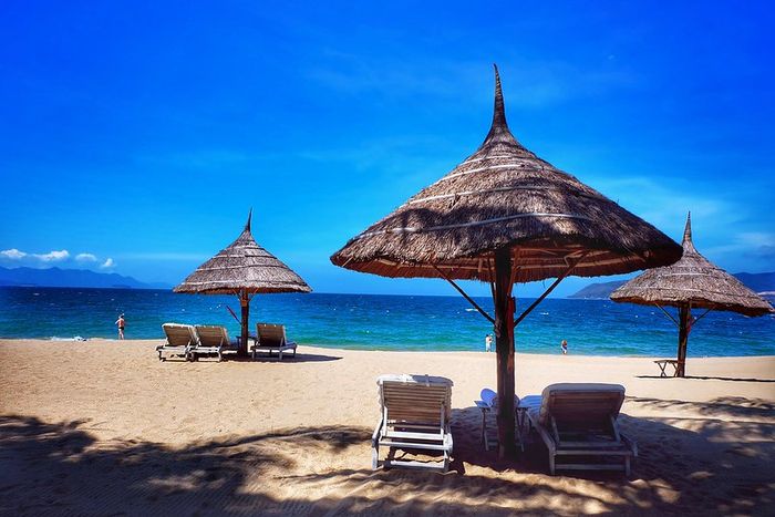 냐짱(기사와 직접적 관련 없음) / 사진=FLICRK