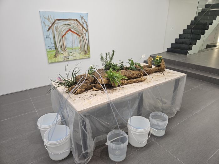 우손갤러리 서울점에 프랑스의 생태주의 미술가 파브리스 이베르의 회화·설치 작품이 전시돼 있는 모습. 토양이 인간을 비롯한 모든 생명의 근원임을 상기시킨다. 송경은 기자