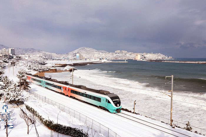 산타열차 / 사진=코레일 제공