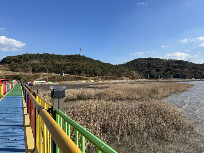 우도 레인보우교 전경 / 사진= 박한나 여행+ 기자