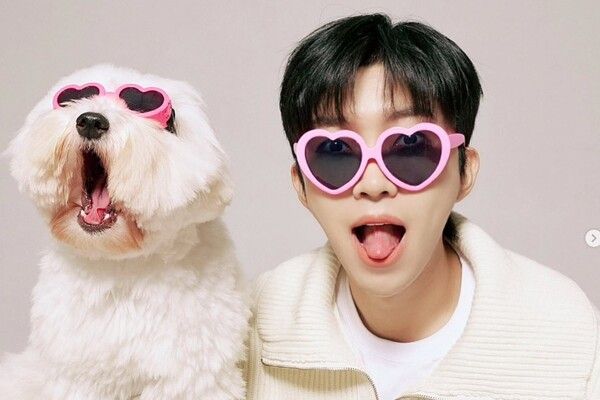 임영웅은 지난 7일 자신의 SNS에 반려견의 생일 축하 게시글을 올리며 팬들과 일상을 나누고자 했다. / 사진=SNS