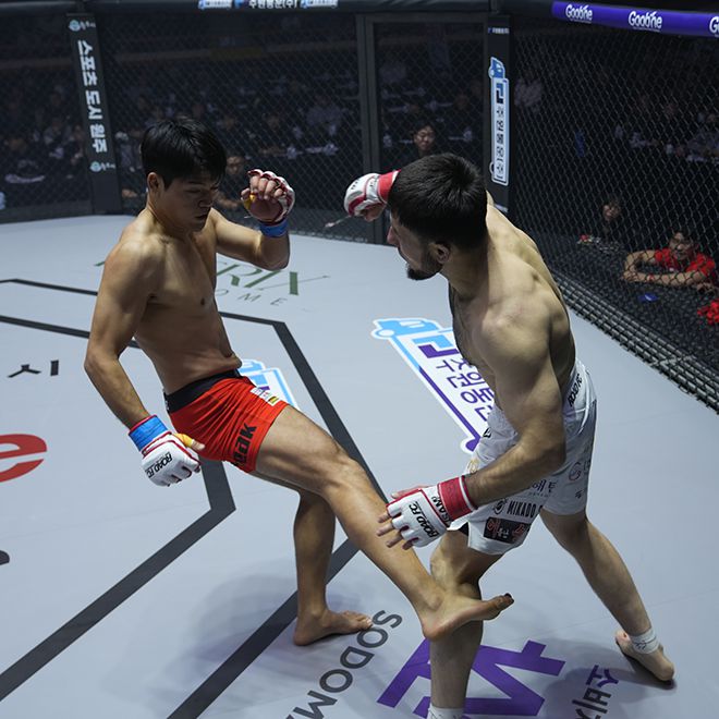 김민형(왼쪽)이 로드FC 71 제3경기 카프킥으로 옷키르베크 쇼드모노프 펀치 시도를 무산시키고 있다. 사진=세계격투스포츠협회