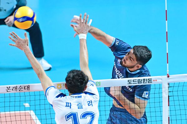 알리는 팀의 공격을 이끌고 있다. 사진 제공= KOVO