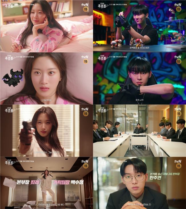 ‘그놈은 흑염룡’ 캐릭터 티저 영상 2종 공개.사잔=tvN 제공