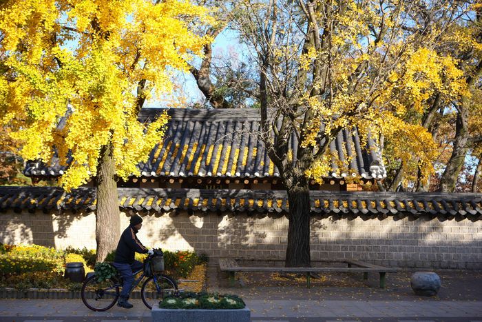 전주 한옥마을 / 사진=한국관광공사 포토코리아-김지호