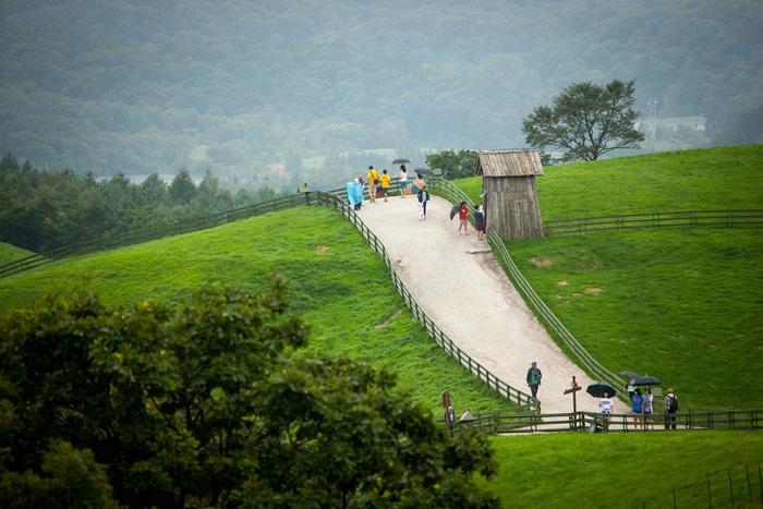 평창 대관령 양떼목장 / 사진=한국관광공사 포토코리아-김지호