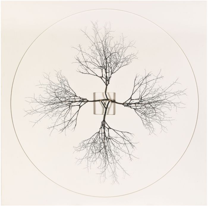 김관수 ‘무제’(2018). 추정가는 2000만~5000만원이다. 서울옥션