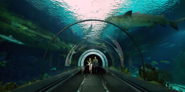 샌디에이고 대표 명소 씨월드 / 사진=캘리포니아 관광청