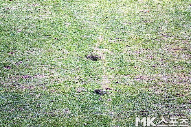 3월 3일 FC 서울과 김천상무의 맞대결이 열린 서울월드컵경기장 잔디 상태. 사진=이근승 기자