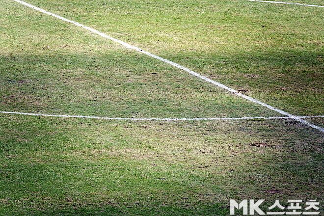 3월 3일 FC 서울, 김천상무 선수들은 이런 잔디에서 프로축구 경기를 했다. 2만 4천 889명의 관중은 푯값을 지불하고 이런 잔디에서 치러지는 프로축구 경기를 봤다. 사진=이근승 기자