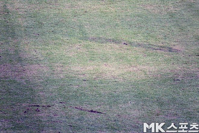 3월 3일 FC 서울, 김천상무 선수들은 이런 잔디에서 프로축구 경기를 했다. 2만 4천 889명의 관중은 푯값을 지불하고 이런 잔디에서 치러지는 프로축구 경기를 봤다. 사진=이근승 기자