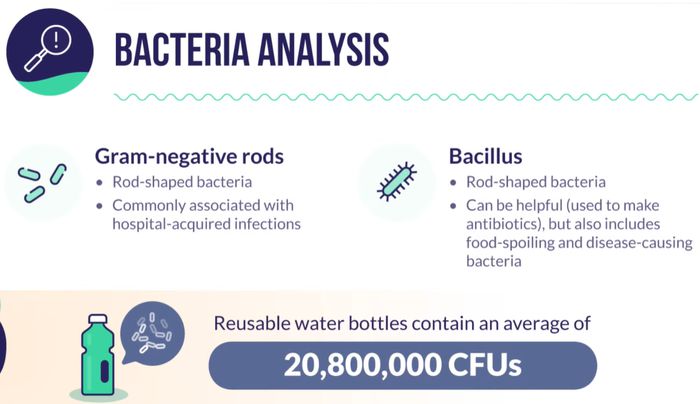 Water Filter Guru가 세척하지 않은 텀블러의 뚜껑, 입이 닿는 실리콘,  빨대 등의 세균을 실험한 결과, 변기보다 박테리아가 40,000배 많았다.[사진 출처 = Water Filter Guru 유튜브 캡처]