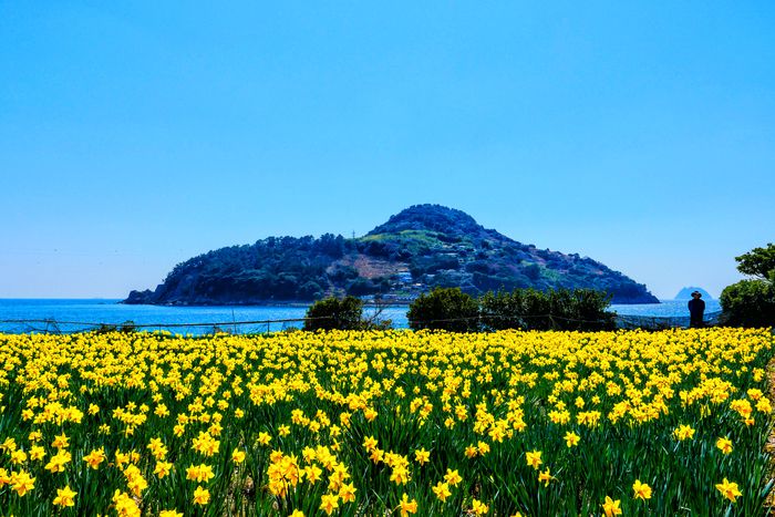 ​거제 공곶이 / 사진 = 경상남도