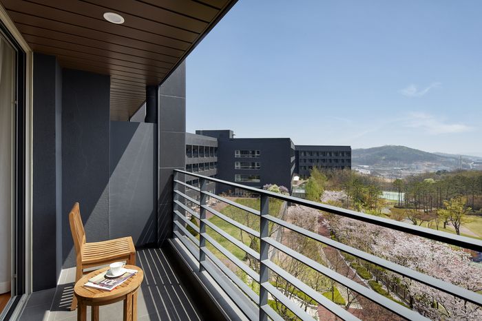 롤링힐스 호텔 객실 테라스 벚꽃 전경.[사진제공=롤링힐스 호텔]