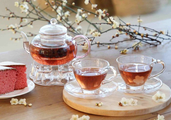 WE호텔제주 벚꽃 프로모션.[사진제공=WE호텔제주]