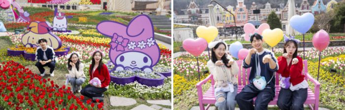 올봄 산리오캐릭터즈와 협업한 에버랜드 튤립 축제/ 사진=삼성물산
