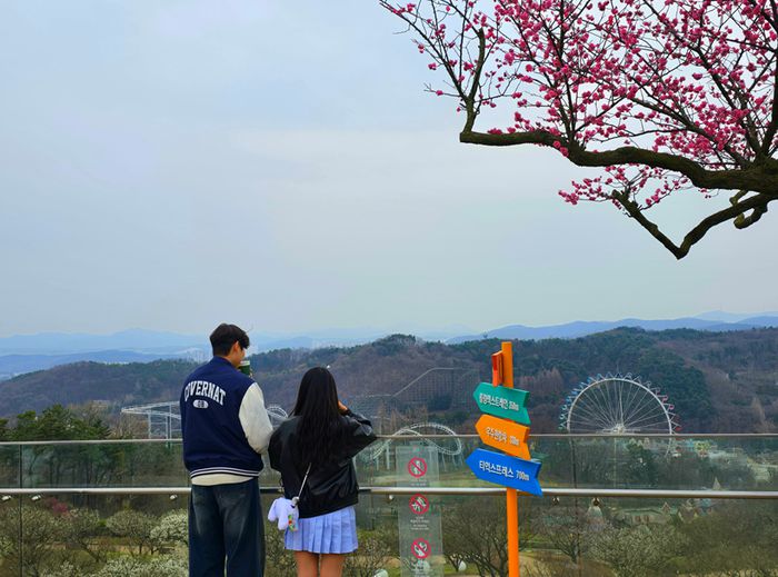 가든패스 전용 라운지에서 본 에버랜드 전경 / 사진=김혜성 여행+ 기자