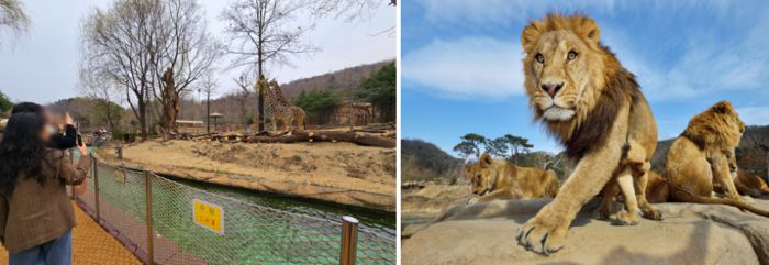 리버트레일 어드벤처 / 사진=삼성물산