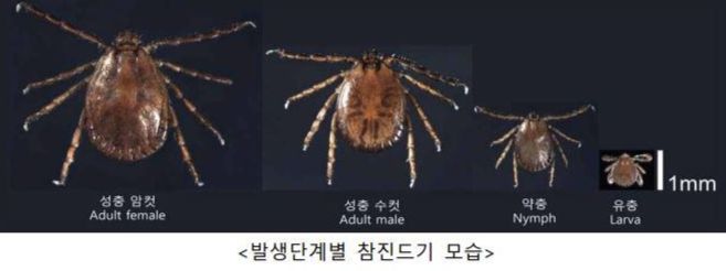 [사진 = 질병관리청]