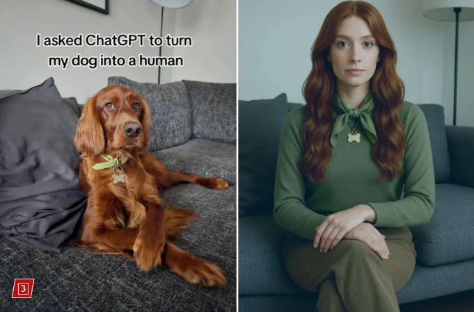 [사진출처 = 틱톡/뉴욕포스트]