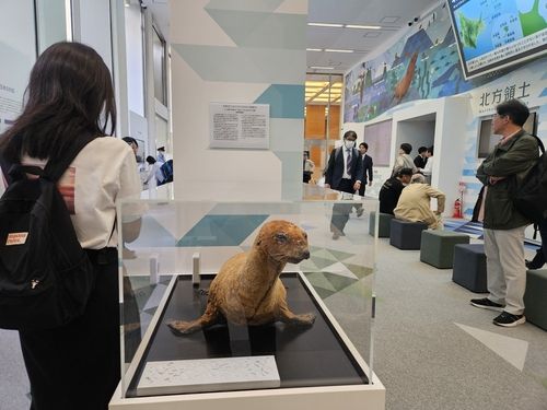 일본 정부가 18일 도쿄 도심에서 시설을 강화해 재개관한 ‘영토·주권 전시관’에 전시된 강치 박제. 이 박제는 원래부터 전시물로 사용돼왔다. [도쿄=연합뉴스]