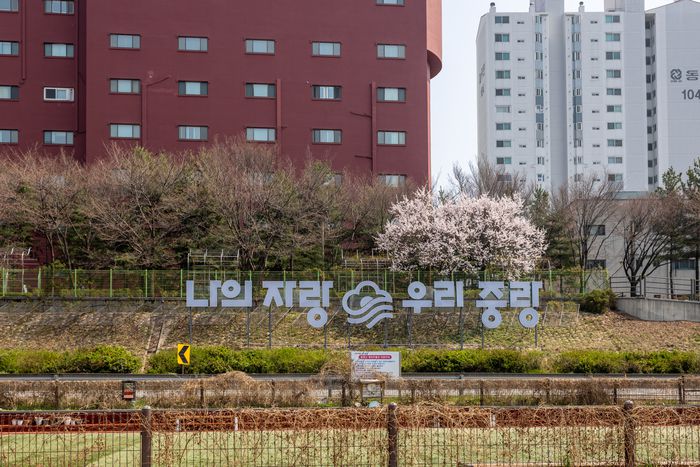 중랑천 자전거길 / 사진=서울관광재단