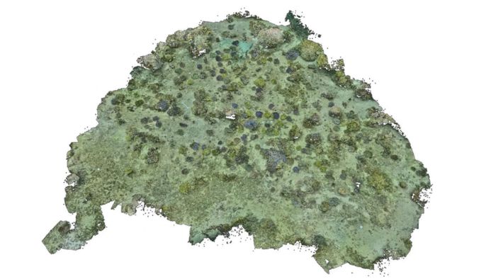 삼성전자 해양 생태계 복원 프로젝트 ‘코랄 인 포커스(Coral in Focus)’의 3D 산호초 복원도