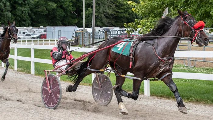 인디애나 경마대회의 말