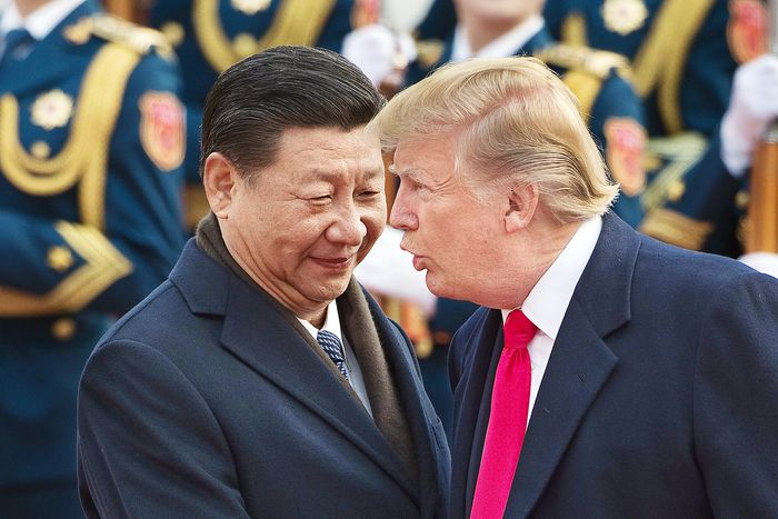 지난 2017년 11월 중국을 방문한 도널드 트럼프 대통령이 베이징 인민대회당에서 시진핑 중국 국가주석과 악수를 하며 대화를 나누는 모습.