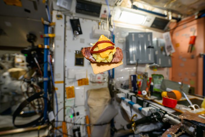 조니김이 만든 고추장 샌드위치. [사진 = 조니 김 페이스북]