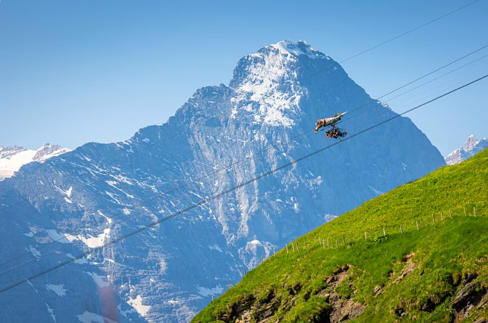 그린델발트 / 사진=융프라우 철도