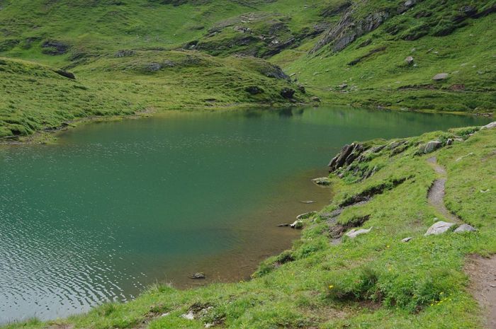 그린델발트 / 사진=pixabay