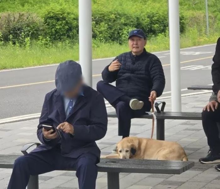 윤석열 전 대통령이 5일 한강공원으로 반려견을 데리고 산책을 나왔다가 휴식을 취하고 있다. [사진 = 클리앙 갈무리]