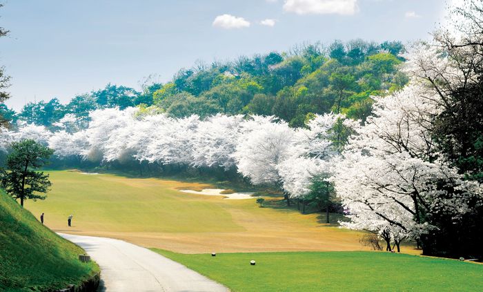 유럽여자프로골프투어(LET) 아람코 코리아 챔피언십이 개최된 뉴코리아 컨트리클럽 전경. 뉴코리아 컨트리클럽