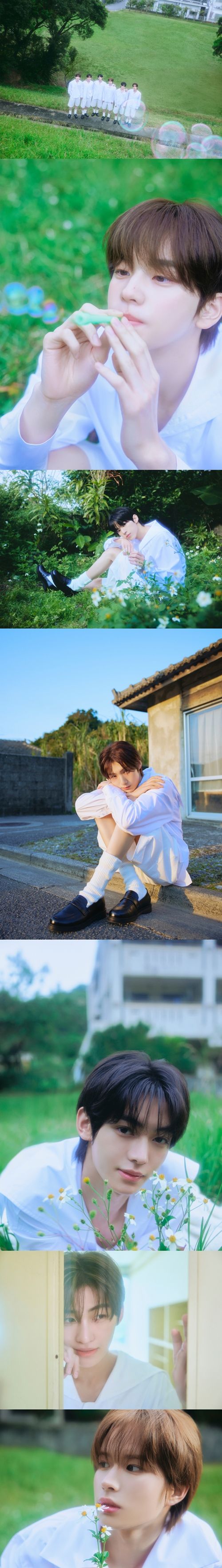 그룹 TWS(투어스)가 ‘K-청량’ 매력을 앞세워 일본 인기에 불을 지핀다.