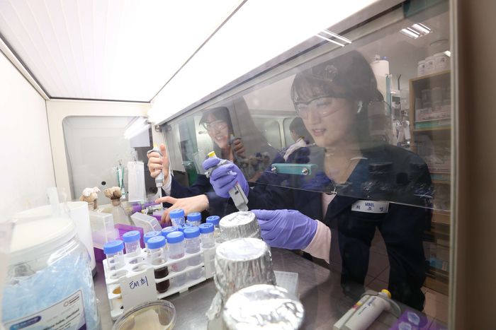 이상엽 한국과학기술원(KAIST) 특훈교수 연구팀이 미생물 세포공장 관련 실험을 진행하고 있다. [사진 =  KAIST]