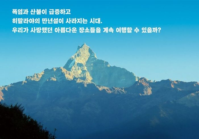 사진 = 열매하나