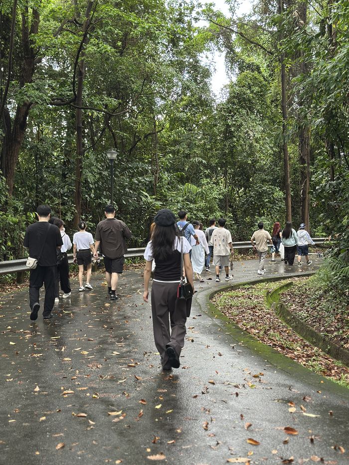 길을 걷고 있는 참여자들 / 사진=권효정 여행 + 기자