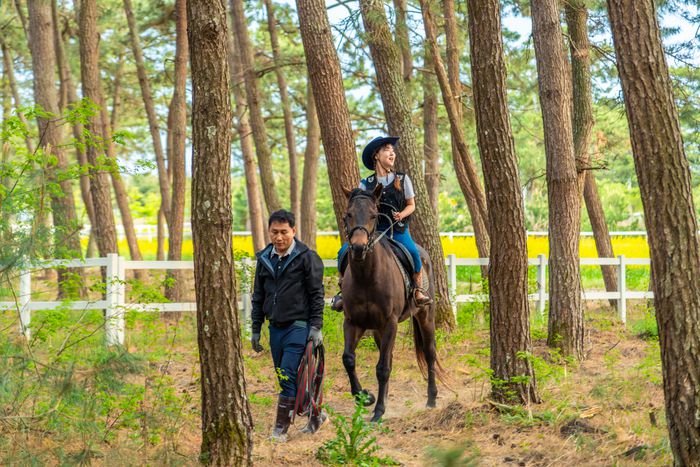 소나무숲과 유채꽃밭도 말을 타고 둘러볼 수 있다. / 사진=한국관광공사