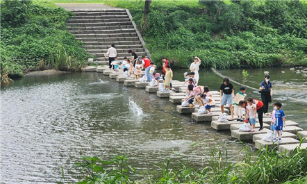 청계천 생태보전활동의 일환으로 시민들이 흙공 던지기 캠페인에 참여하고 있다. 서울시설공단